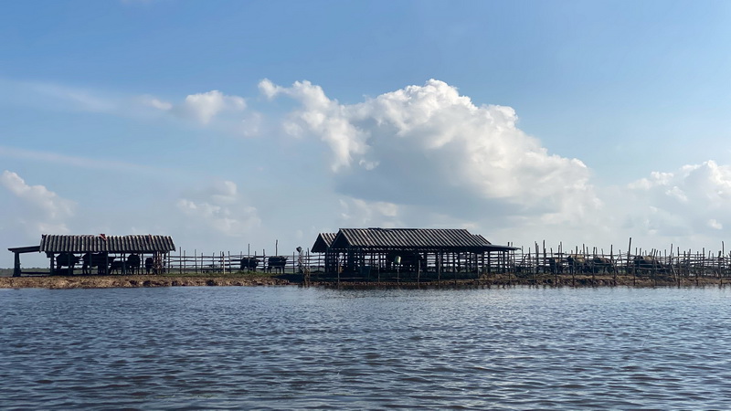 รูป ประกอบบทความ17