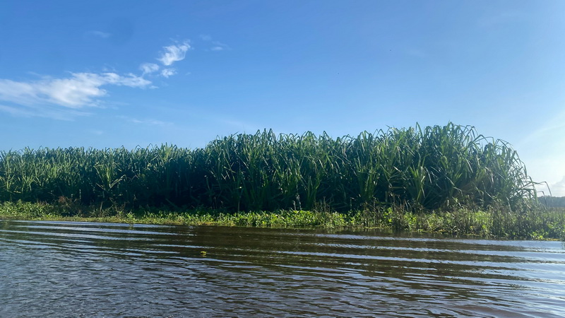 รูป ประกอบบทความ7