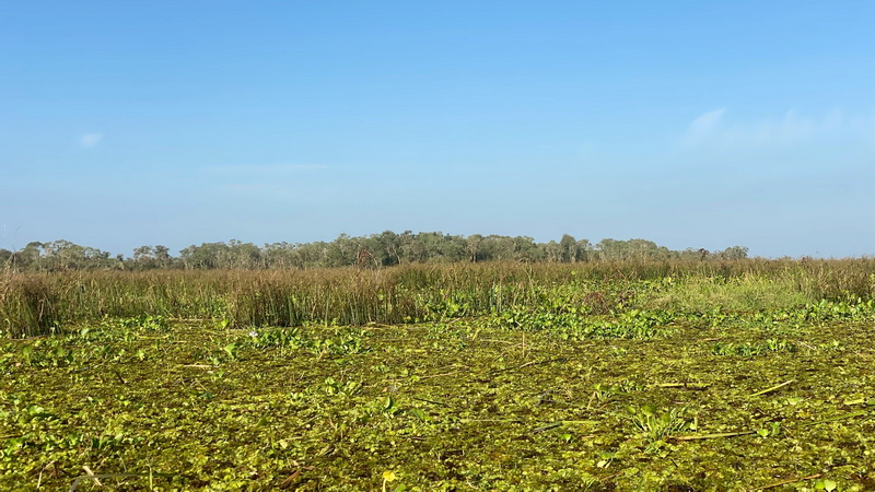 รูป ประกอบบทความ15