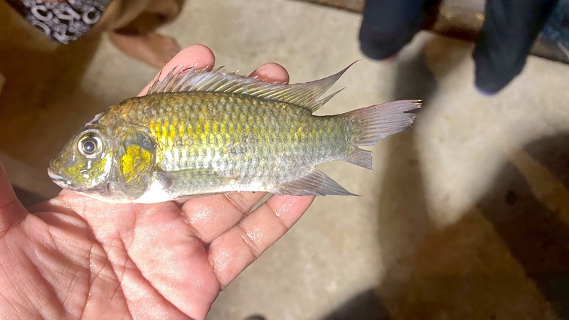 รูป ประกอบบทความ2