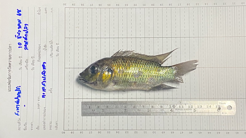 รูป ประกอบบทความ3