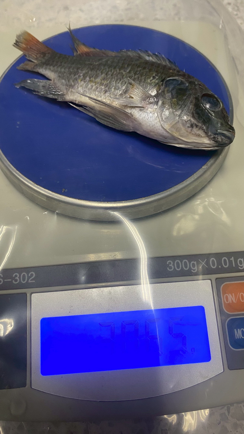 รูป ประกอบบทความ6