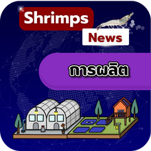 การสำรวจและพยากรณ์ผลผลิตกุ้งเลี้ยงทั่วโลก