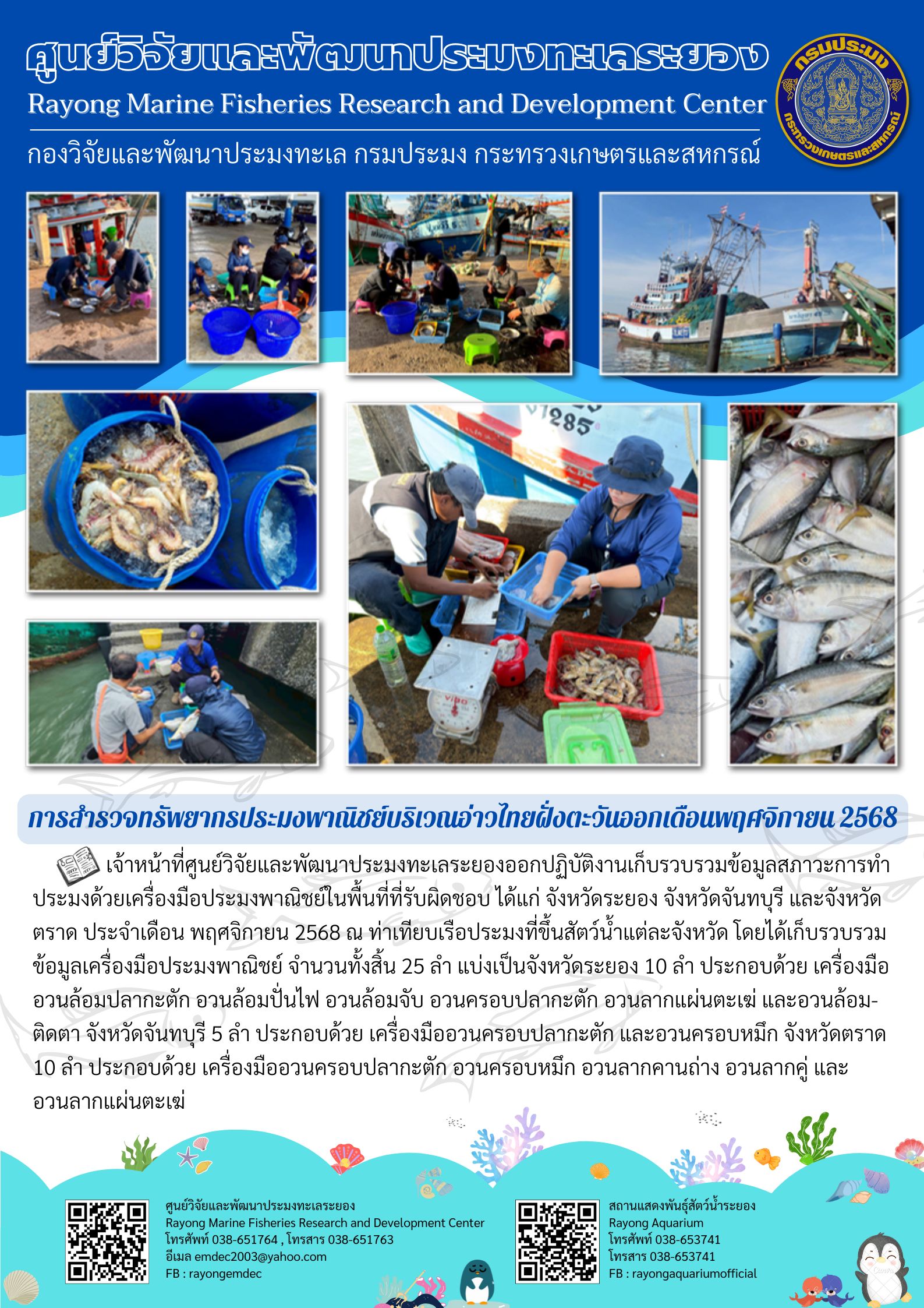 การสำรวจทรัพยากรประมงพาณิชย์ บริเวณอ่าวไทยฝั่งตะวันออก ในเดือนพฤศจิกายน 2568