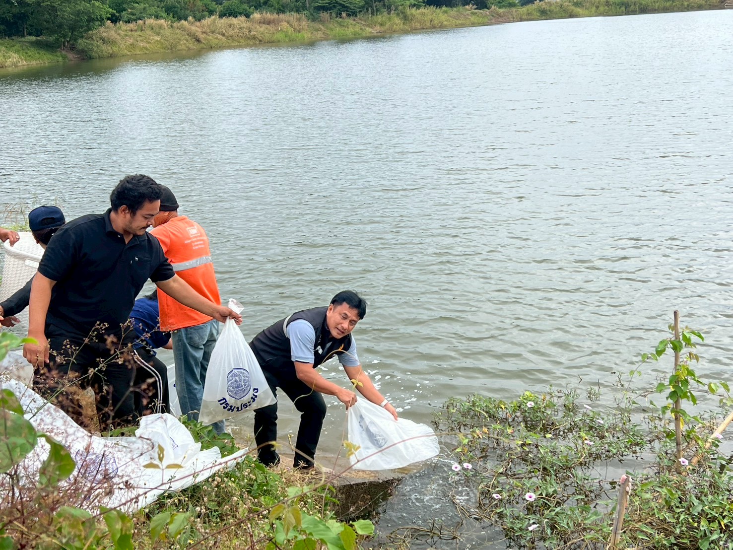 ร่วมปล่อยพันธุ์สัตว์น้ำเศรษฐกิจ 6 ชนิด ณ หนองจิก ในพื้นที่อำเภอแสวงหา และบึงห้วยคล้า ในพื้นที่อำเภอวิเศษชัยชาญ จังหวัดอ่างทอง