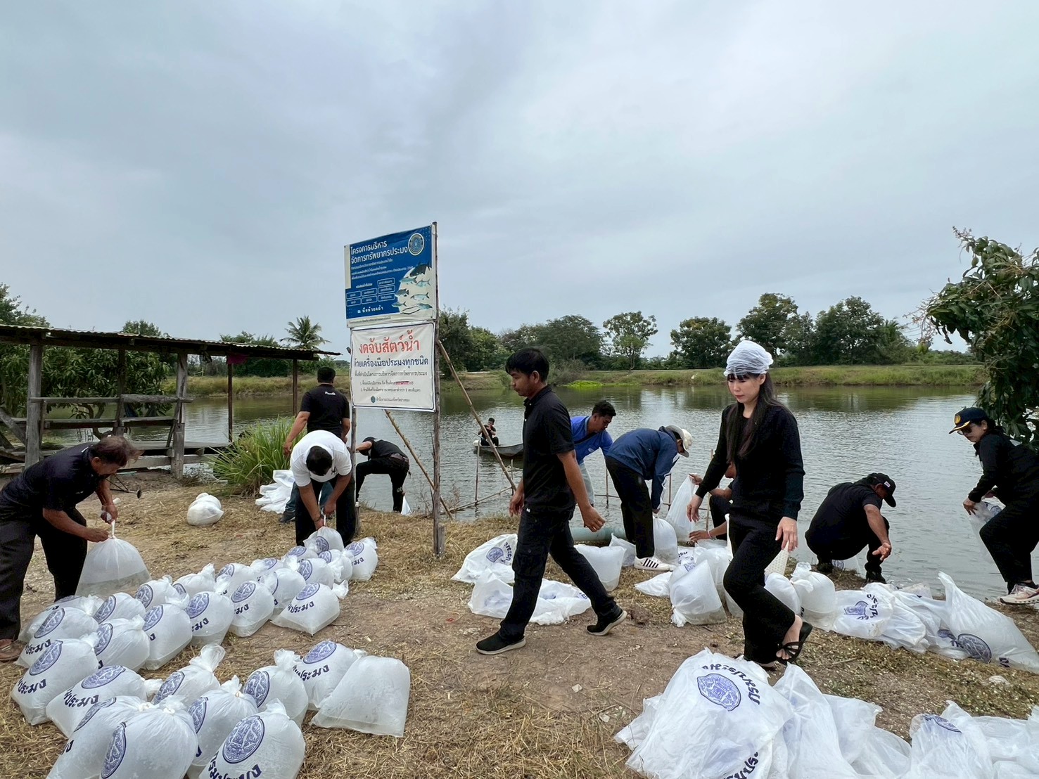 ร่วมปล่อยพันธุ์สัตว์น้ำเศรษฐกิจ 6 ชนิด ณ หนองจิก ในพื้นที่อำเภอแสวงหา และบึงห้วยคล้า ในพื้นที่อำเภอวิเศษชัยชาญ จังหวัดอ่างทอง..คลิก