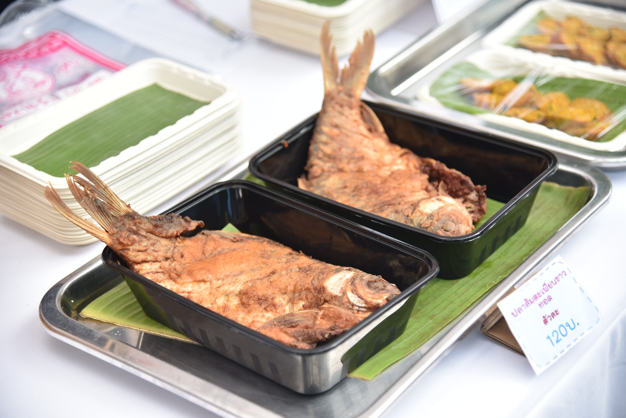 รูป ประกอบบทความ4