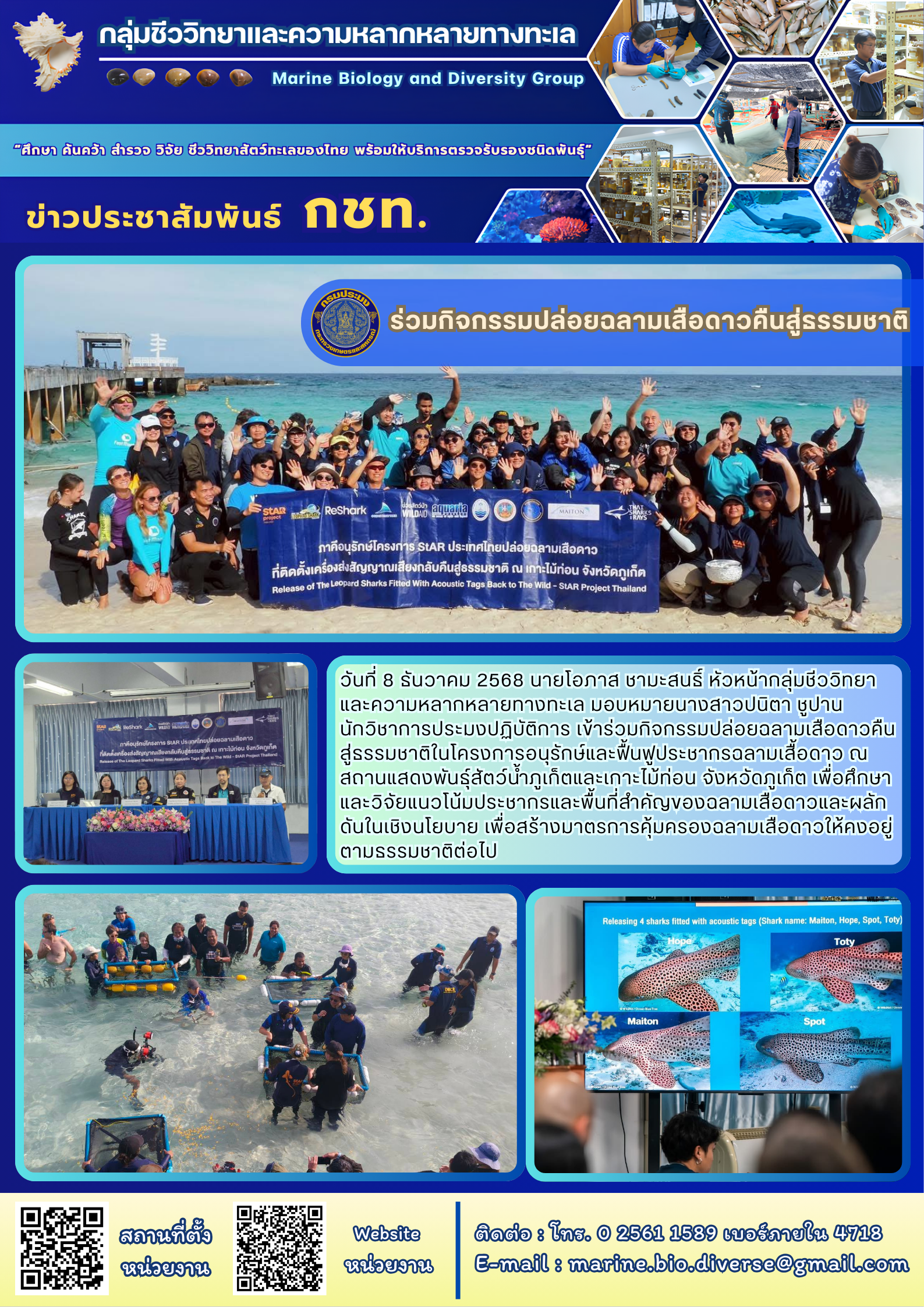 ร่วมกิจกรรมปล่อยฉลามเสือดาวคืนสู่ธรรมชาติ