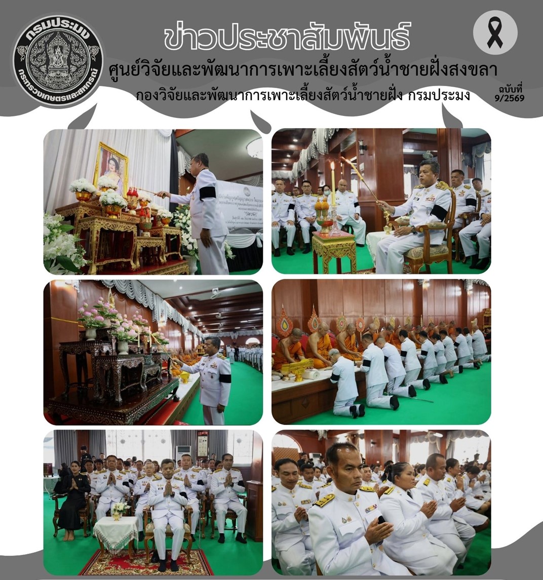 ศูนย์วิจัยและพัฒนาการเพาะเลี้ยงสัตว์น้ำชายฝั่งสงขลา ร่วมพิธีบำเพ็ญกุศล ครบ 50 วัน “ปัญญาสมวาร” เพื่ออุทิศถวายพระราชกุศลแด่ สมเด็จพระนางเจ้าสิริกิติ์ พระบรมราชินีนาถ พระบรมราชชนนีพันปีหลวง