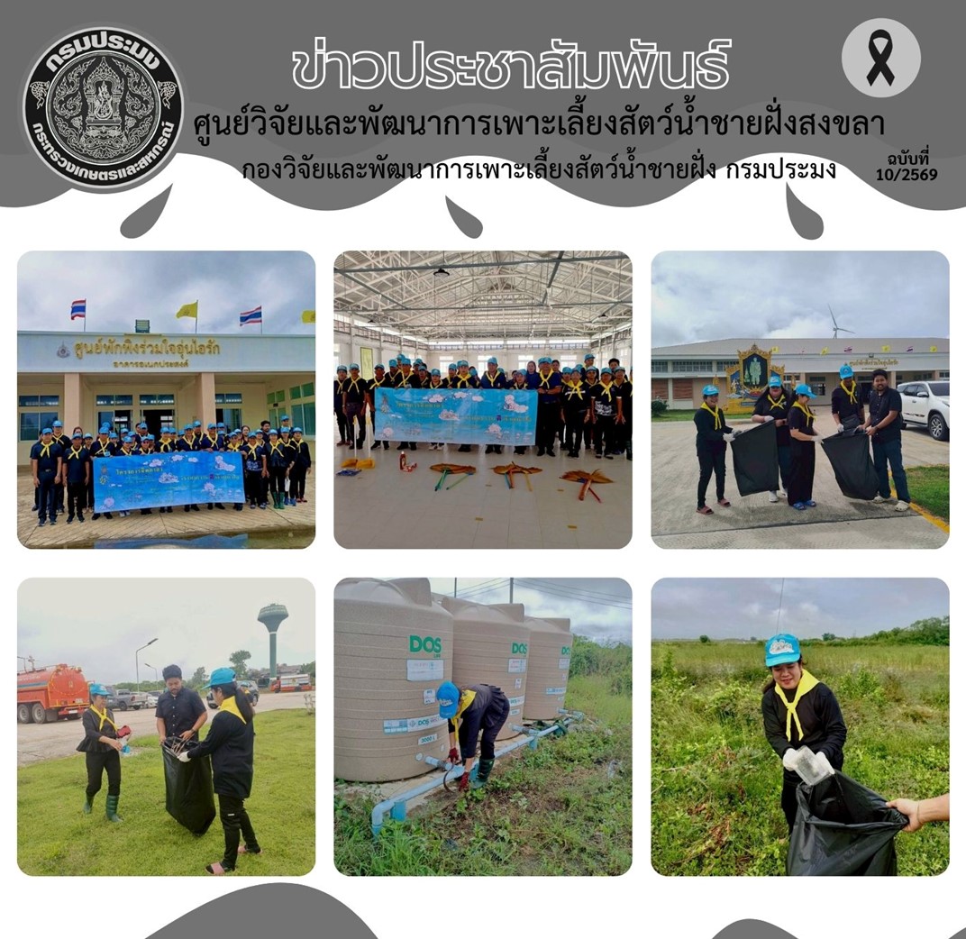 เมื่อวันที่ 12 ธันวาคม 2568 นางอาภรณ์ เทพพานิช ผู้อำนวยการศูนย์วิจัยและพัฒนาการเพาะเลี้ยงสัตว์น้ำชายฝั่งสงขลา มอบหมายให้นางศรีประภา สิทธิโชคธนา นักวิชาการประมงปฏิบัติการ พร้อมด้วยคณะเจ้าหน้าที่ของศูนย์ฯ ร่วมกิจกรรม จิตอาสาพัฒนาปรับปรุงภูมิทัศน์บริเวณศูนย์พักพิงร่วมใจอุ่นไอรัก ณ ศูนย์พักพิงร่วมใจอุ่นไอรัก