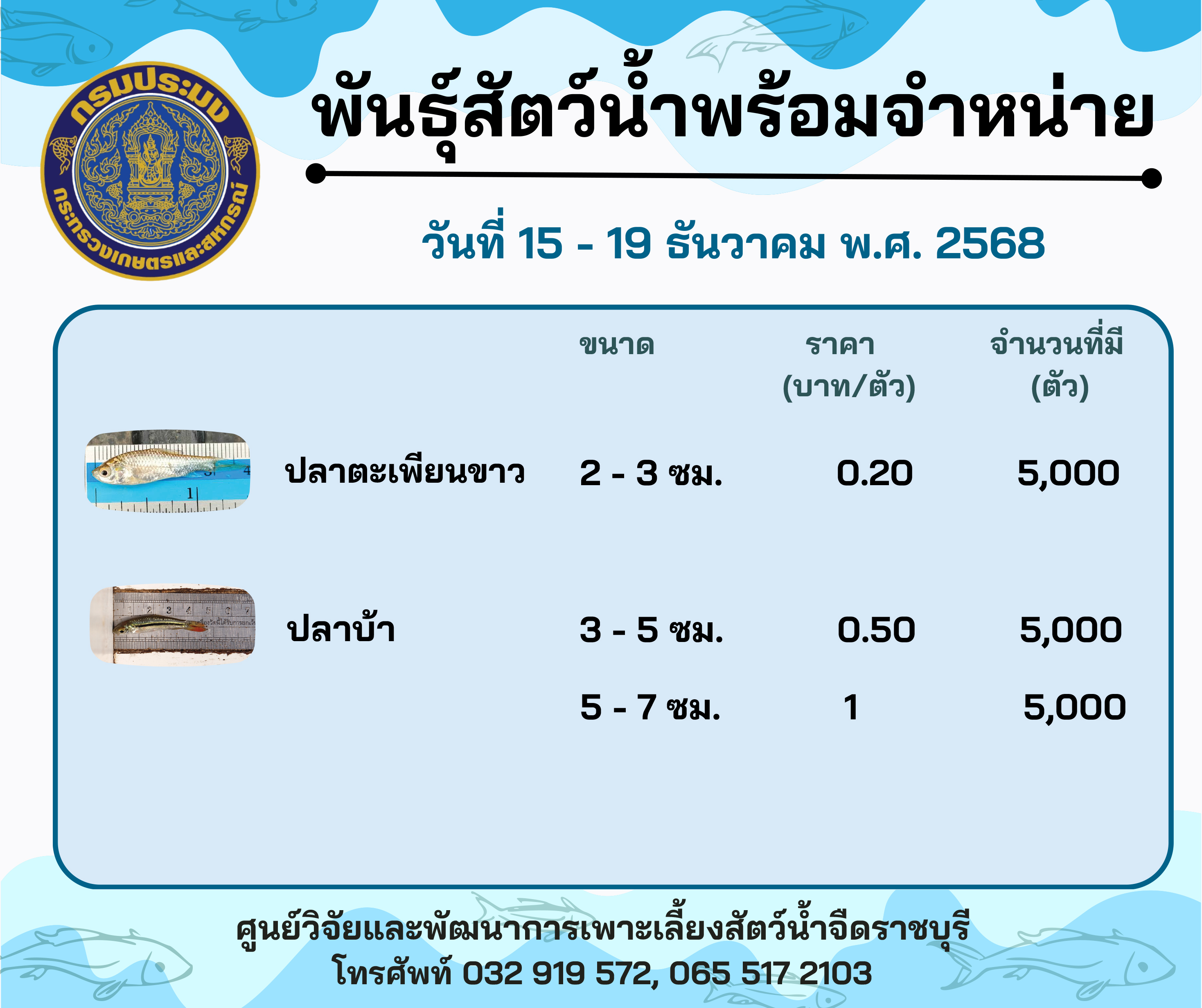ลูกพันธุ์สัตว์น้ำพร้อมจำหน่ายสัปดาห์นี้ วันที่ 15 - 19 ธันวาคม พ.ศ. 2568