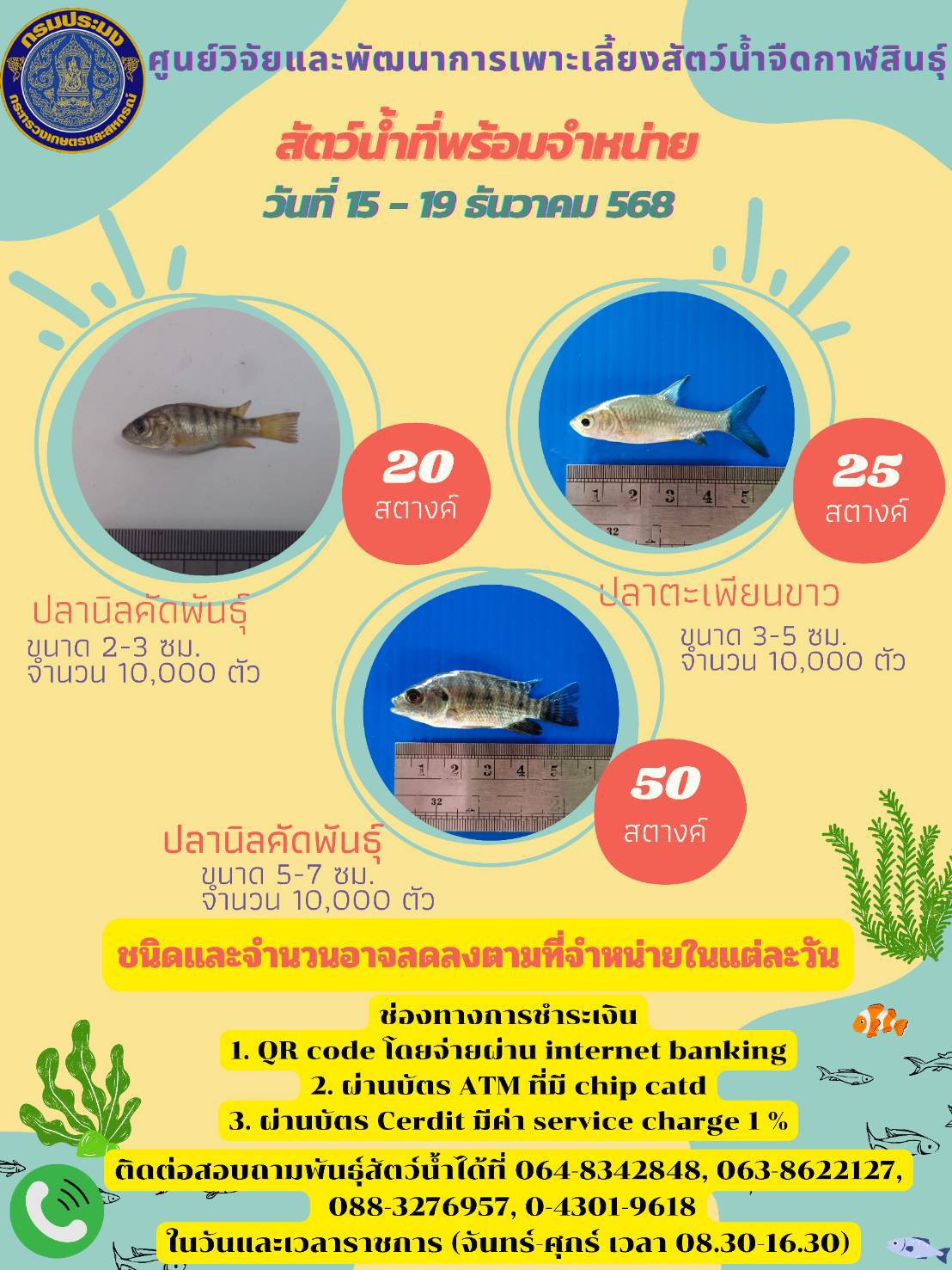 สัตว์น้ำพร้อมจำหน่าย