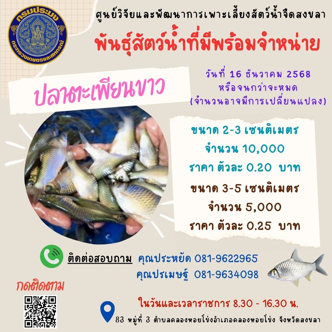 พันธุ์สัตว์น้ำพร้อมจำหน่าย