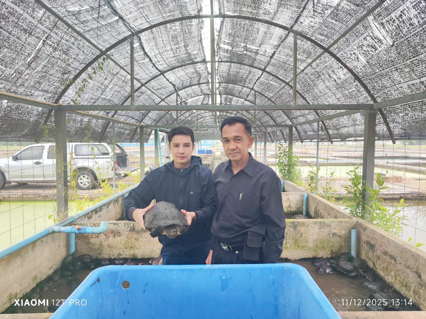 สำนักงานประมงพื้นที่กรุงเทพมหานคร ได้ส่งมอบเต่าหับ, เต่ากา, เต่านา, เต่าบัว ให้ศูนย์วิจัยและพัฒนาการเพาะเลี้ยงสัตว์น้ำจืดสุพรรณบุรี