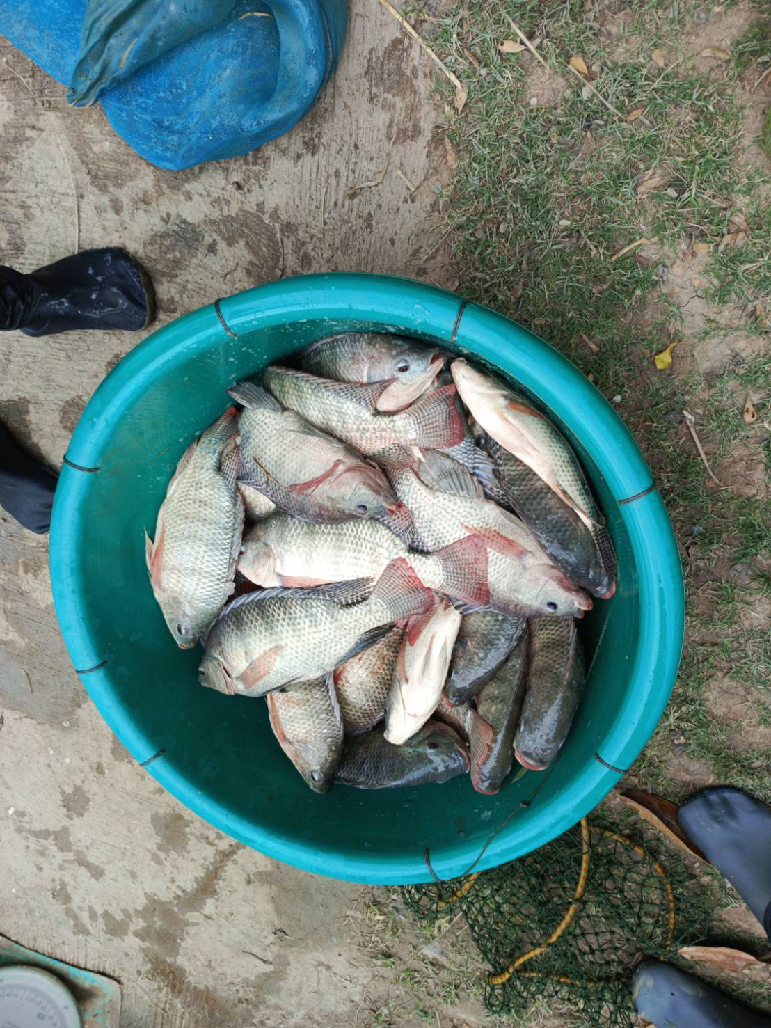 สำรวจสถิติ และค่าใช้จ่ายขั้นกลาง ในพื้นที่ อ.หนองบัวแดง จ.ชัยภูมิ..คลิก