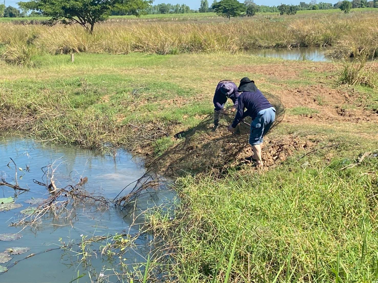 ศูนย์ป้องกันและปราบปรามประมงน้ำจืดนครราชสีมา ออกปฏิบัติงานควบคุมเฝ้าระวังการทำการประมงผิดกฏหมาย ในพื้นที่ ตำบลบึงสำโรงอำเภอแก้งสนามนาง จังหวัดนครราชสีมา