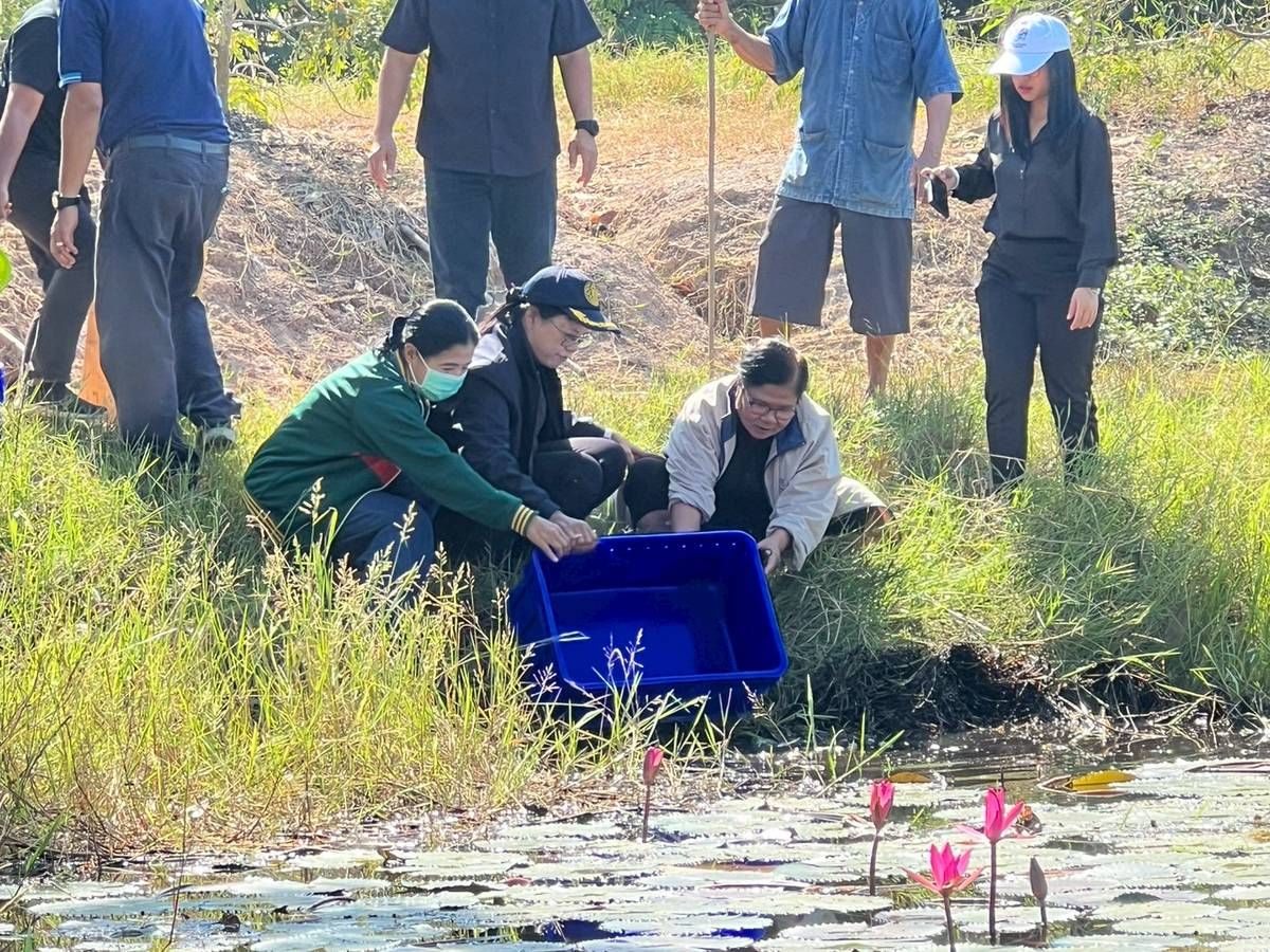 แหล่งน้ำชุมชน..คลิก