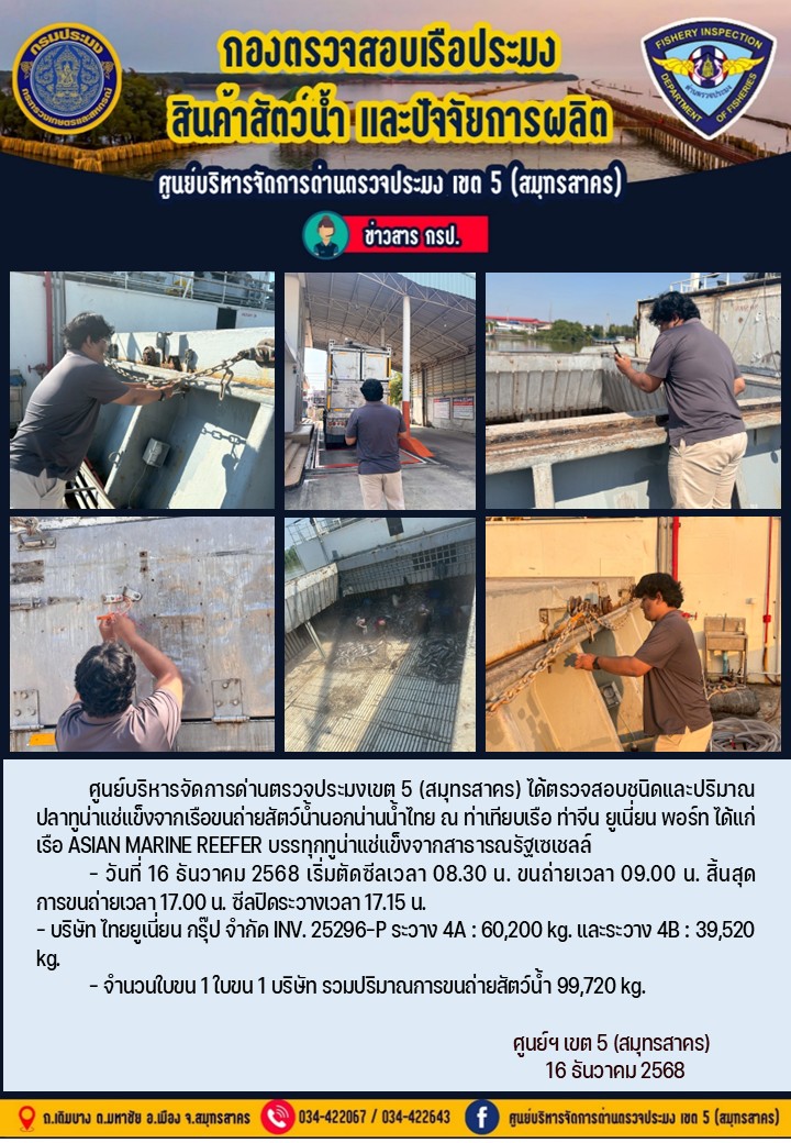 การขนถ่ายทูน่าแช่แข็งจากเรือขน