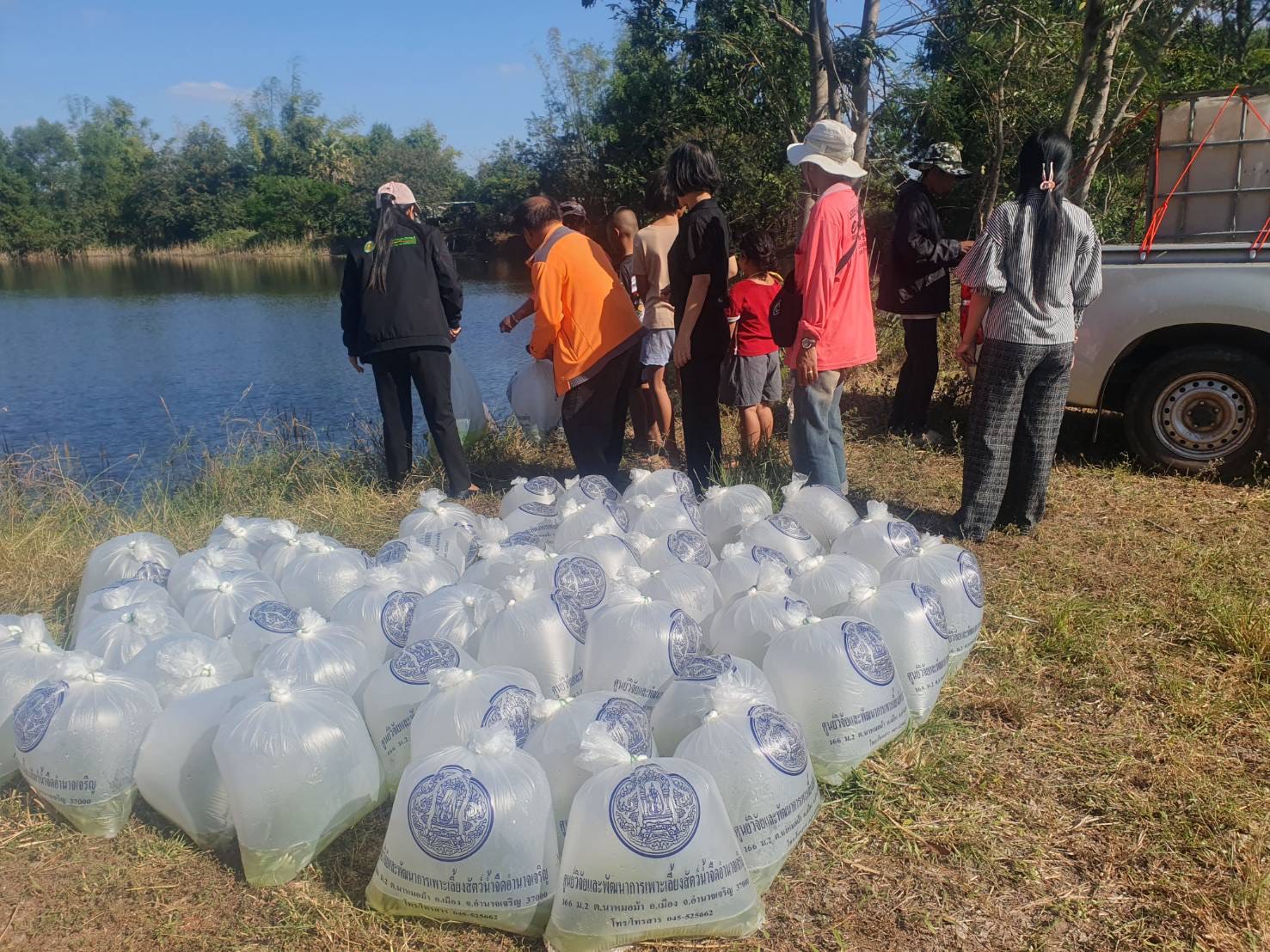 ปล่อยปลาในแหล่งน้ำ