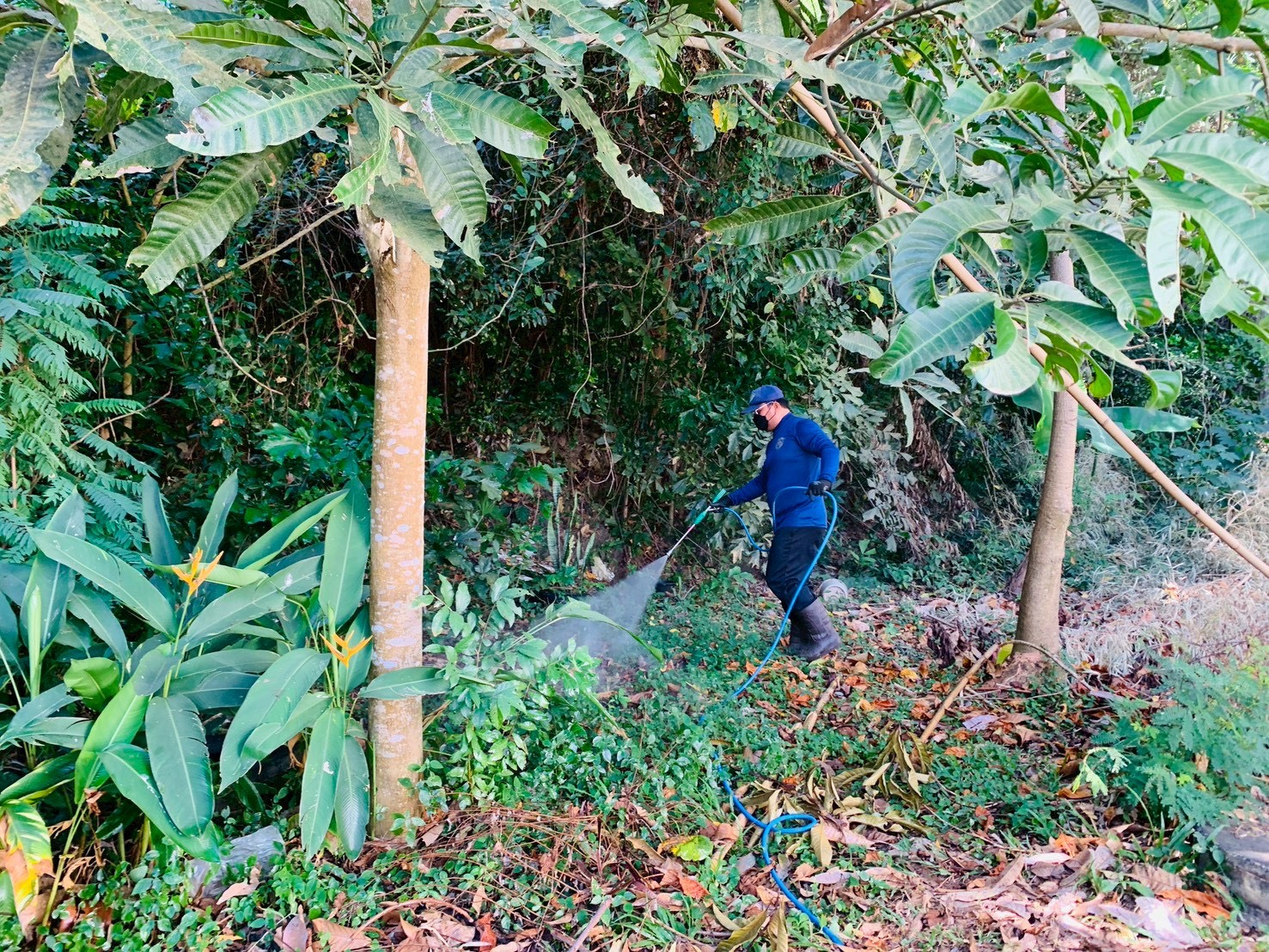 ดำเนินกิจกรรมปรับปรุงภูมิทัศน์บริเวณอาคารสำนักงาน..คลิก