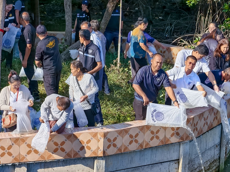 ผอ.ศพช.ฉะเชิงเทรา พร้อมด้วยข้าราชการ เข้าร่วมกิจกรรมปล่อยพันธุ์สัตว์น้ำ “โครงการจัดสร้างแหล่งอาศัยสัตว์ทะเล (ซั้งกอ) ในเขตพื้นที่จังหวัดสมุทรปราการ ประจำปี ๒๕๖๘” ณ ปากอ่าวคลองด่าน บริเวณชุมชนประมงท้องถิ่นบ้านสีล้ง หมู่ที่ ๑๒ ตำบลคลองด่าน อำเภอบางบ่อ จังหวัดสมุทรปราการ