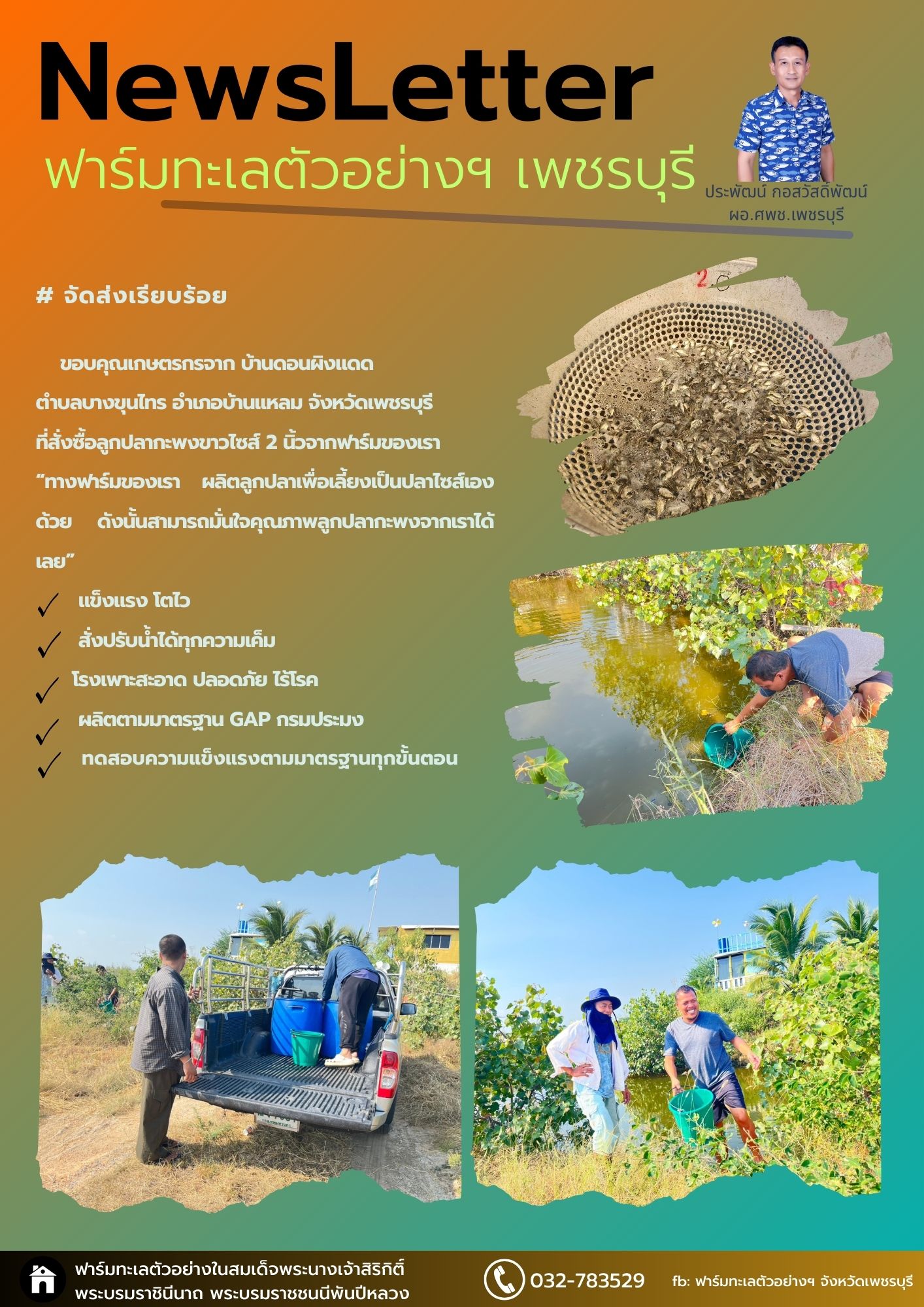 จำหน่ายลูกปลากะพงขาว