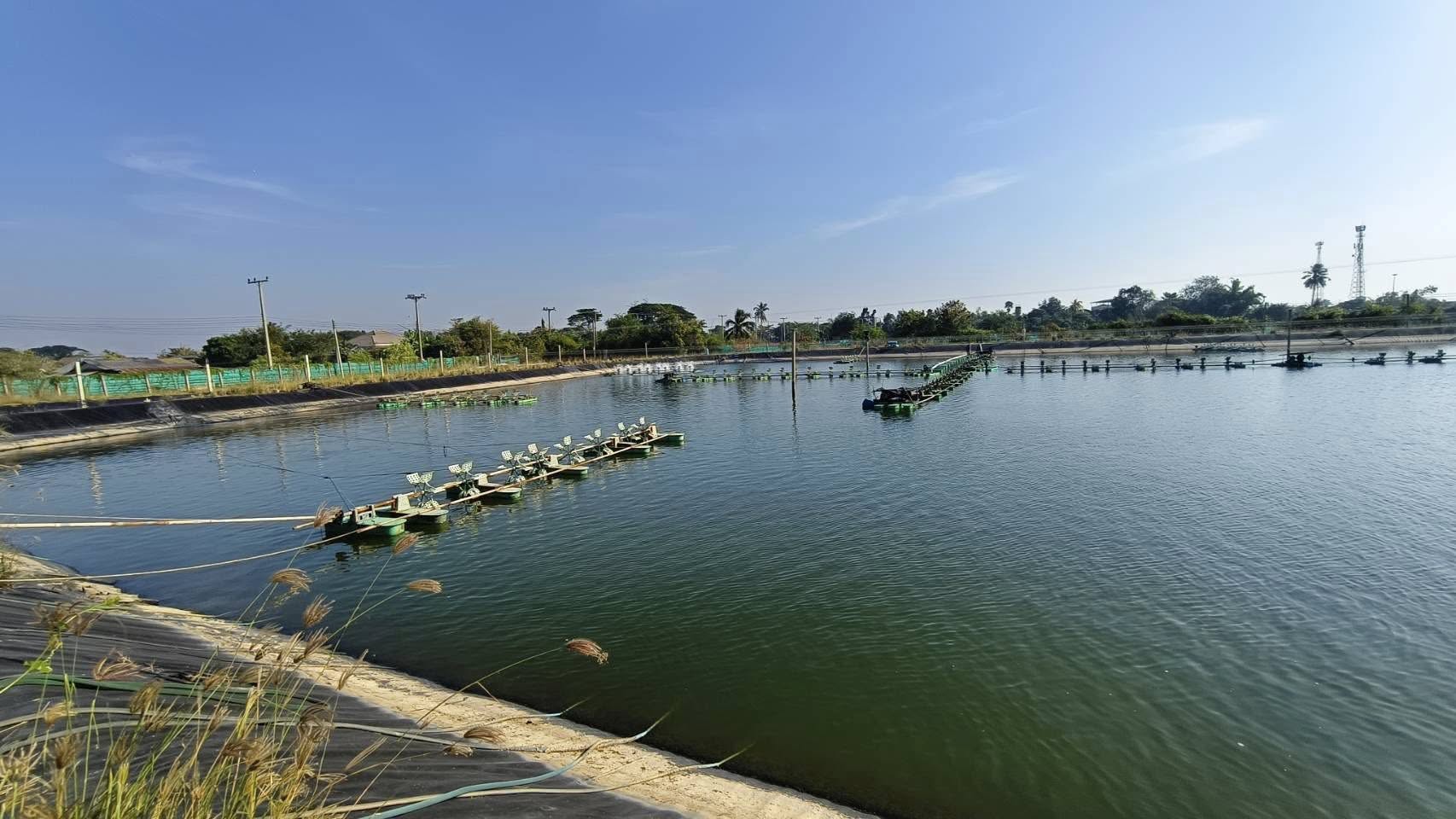 ร่วมประชุมทำแผนพัฒนารายแปลง 