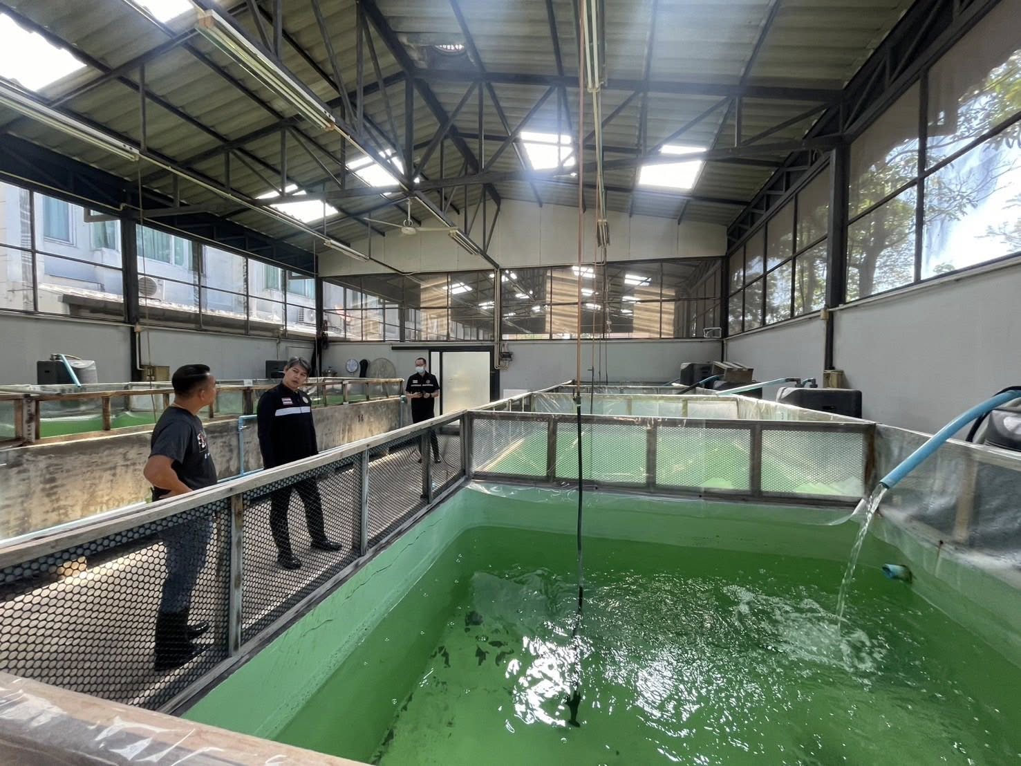 สำนักงานประมงพื้นที่กรุงเทพมหานคร ลงพื้นที่ตรวจประเมินสถานกักกันสัตว์น้ำ เพื่อพิจารณาต่ออายุใบอนุญาต ประจำปี 2568