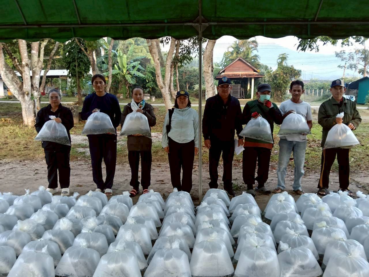 ข่าวประชาสัมพันธ์ สำนักงานประมงจังหวัดลำพูน