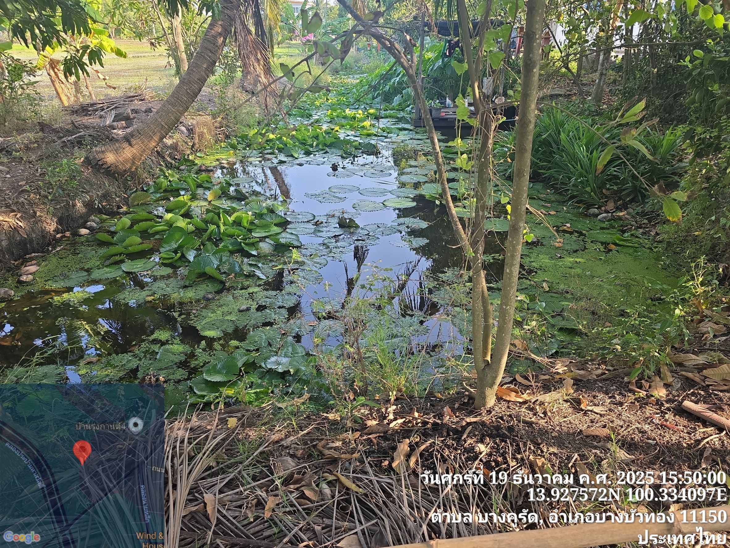 (อ.บางบัวทอง) ขึ้นทะเบียนเกษตรกรผู้เพาะเลี้ยงสัตว์น้ำ