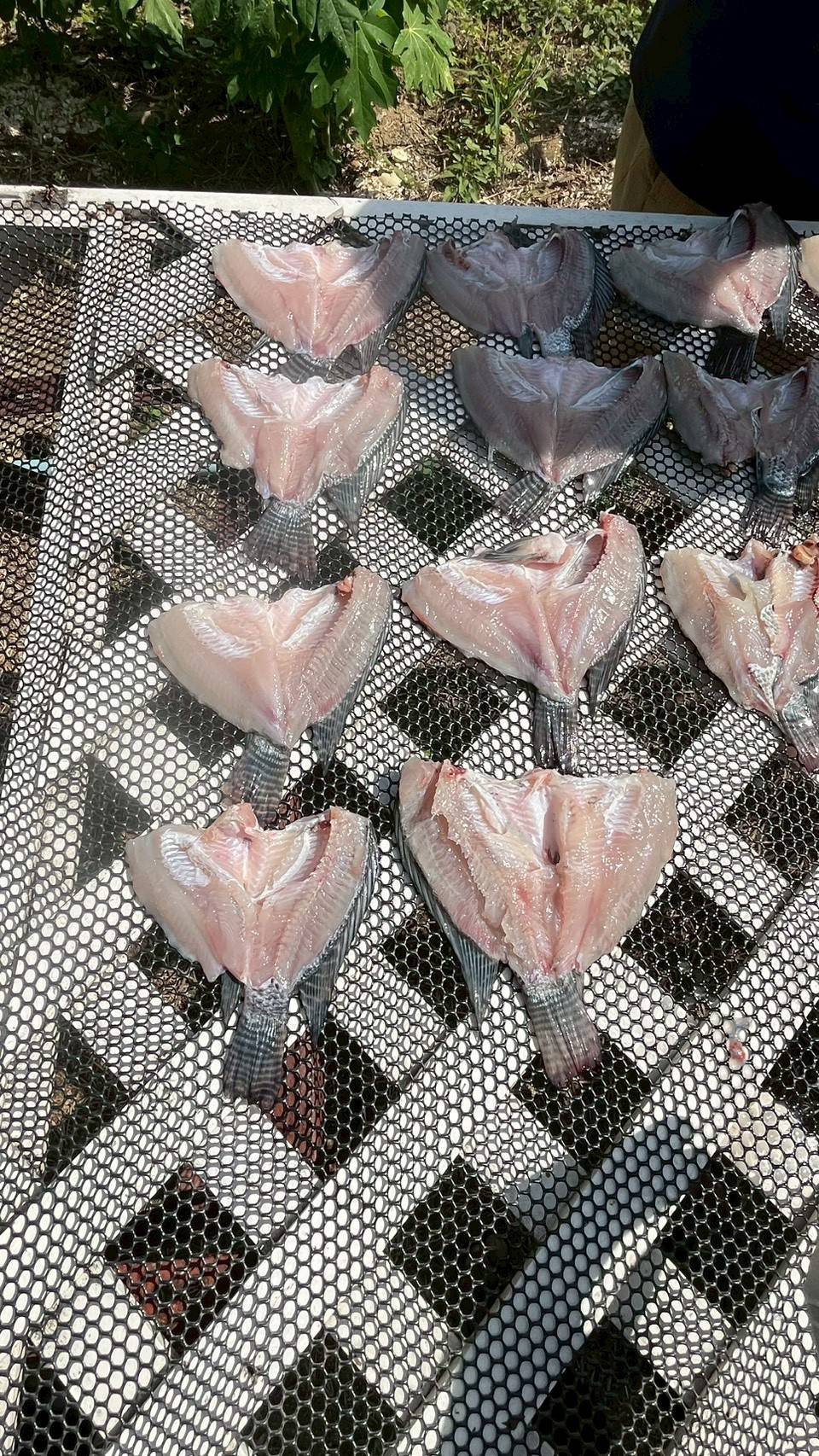 (อ.บางกรวย) การฝึกอบรม หลักสูตรแปรรูปสัตว์น้ำ ภายใต้โครงการยกระดับมาตรฐานสินค้าเกษตรสู่นนทบุรีการันตี ตามแผนปฏิบัติราการจังหวัดนนทบุรี ประจำปีงบประมาณ พ.ศ. 2569