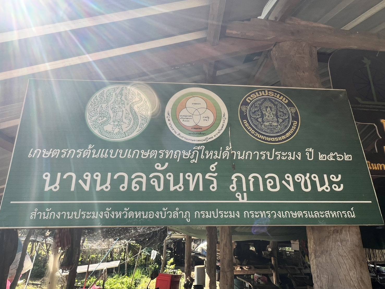 รูป ประกอบบทความ2