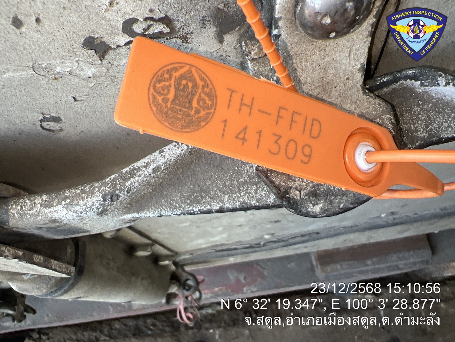 ตรวจสอบการนำเข้าสินค้าสัตว์น้ำผ่านตู้คอนเทนเนอร์ ณ ปลายทาง