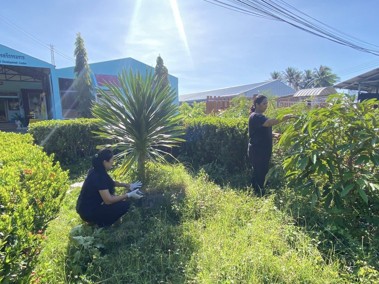 รูป ประกอบบทความ1