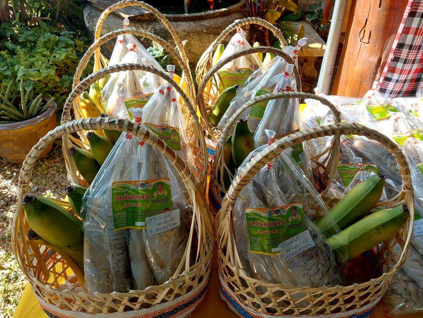 รูป ประกอบบทความ11