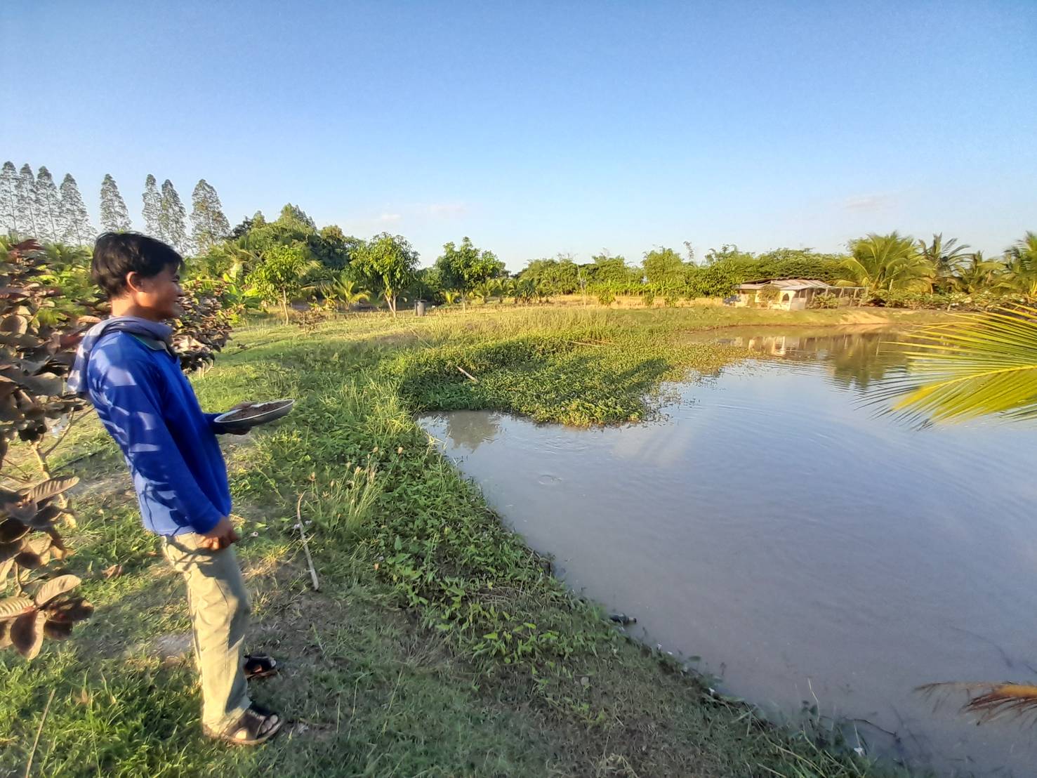 รูป ประกอบบทความ7