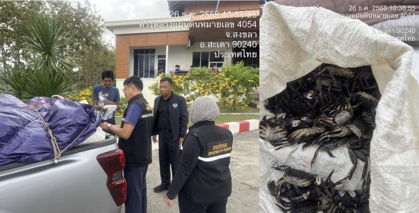 รูป ประกอบบทความ7