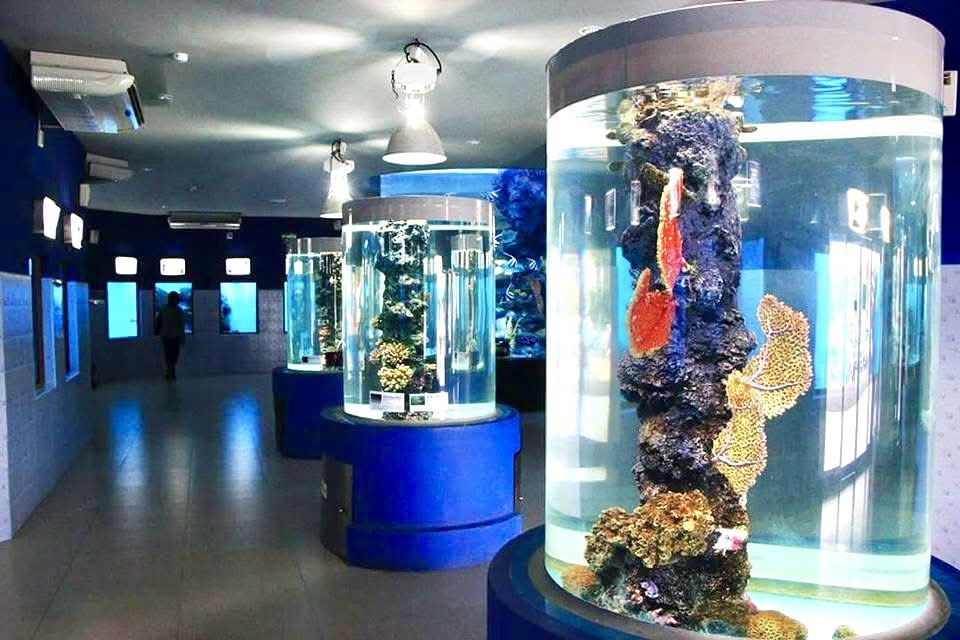 รูป ประกอบบทความ2