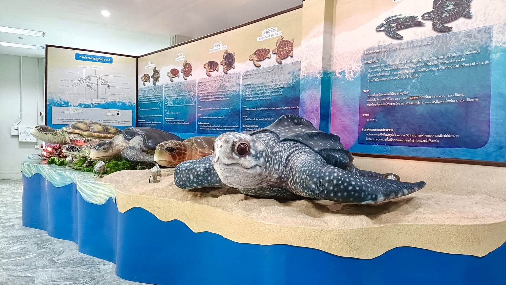 กรมประมง...ร่วมส่งสุขปีใหม่ 25