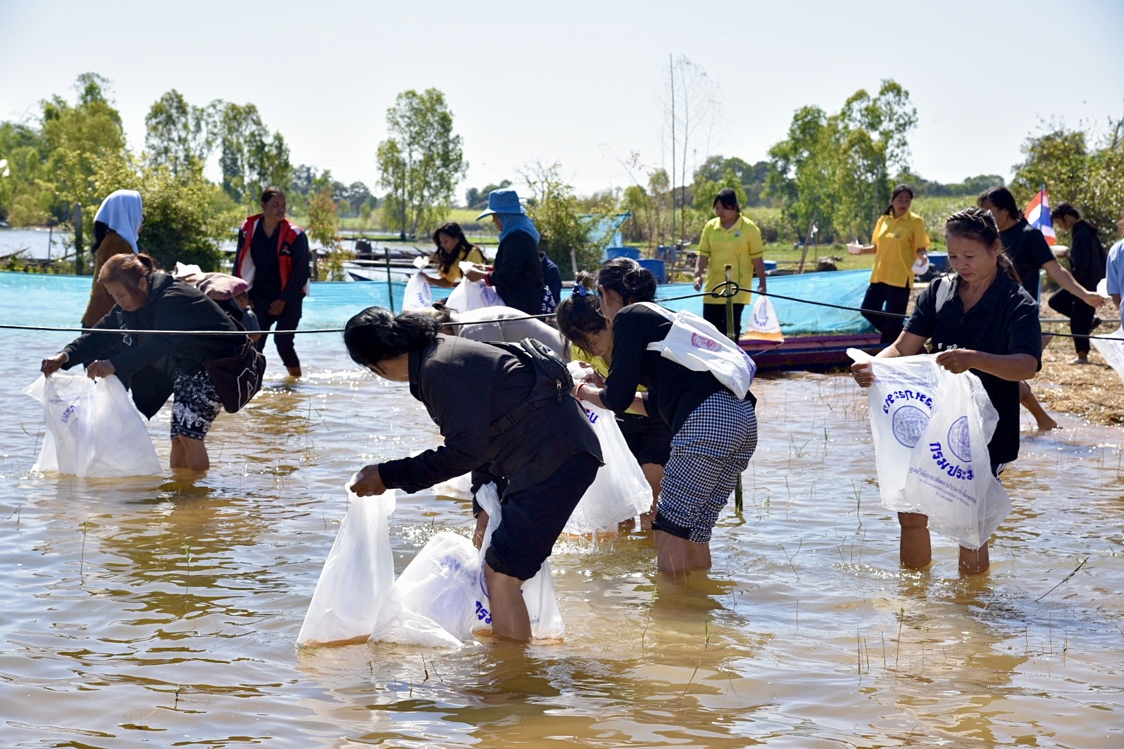 รูป ประกอบบทความ3