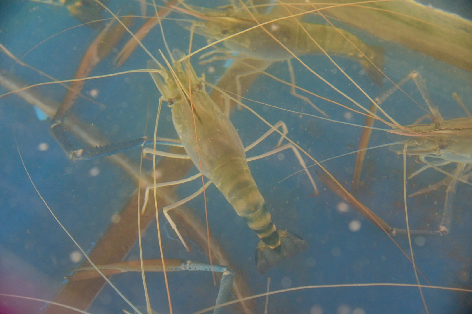 รูป ประกอบบทความ14