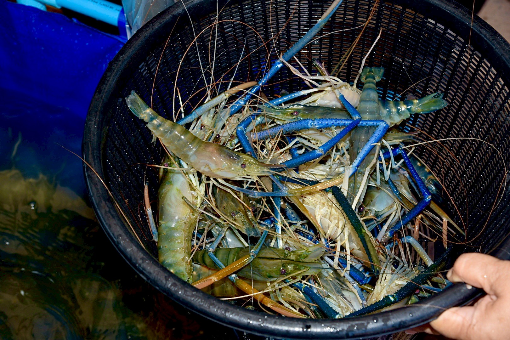 รูป ประกอบบทความ13