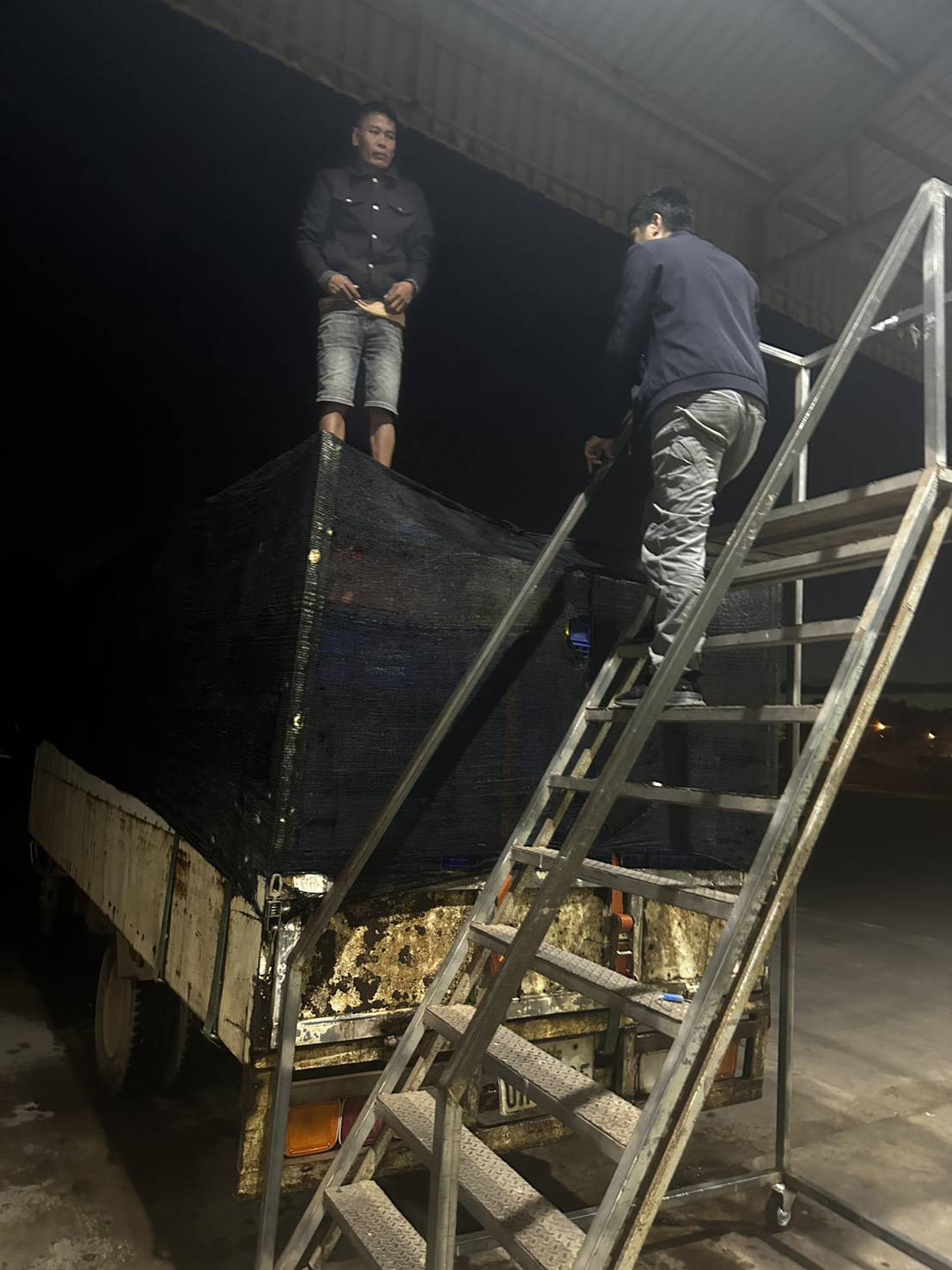 ข่าวกิจกรรม วันที่ 26 ธันวาคม 2568 เจ้าหน้าที่ด่านตรวจประมงนครพนม ตรวจสอบการส่งออก ปลาดุกแอฟริกา มีชีวิต ณ จุดผ่านแดนถาวรสะพานมิตรภาพไทย-ลาว แห่งที่ 3 นครพนม -คำม่วน จ.นครพนม..คลิก