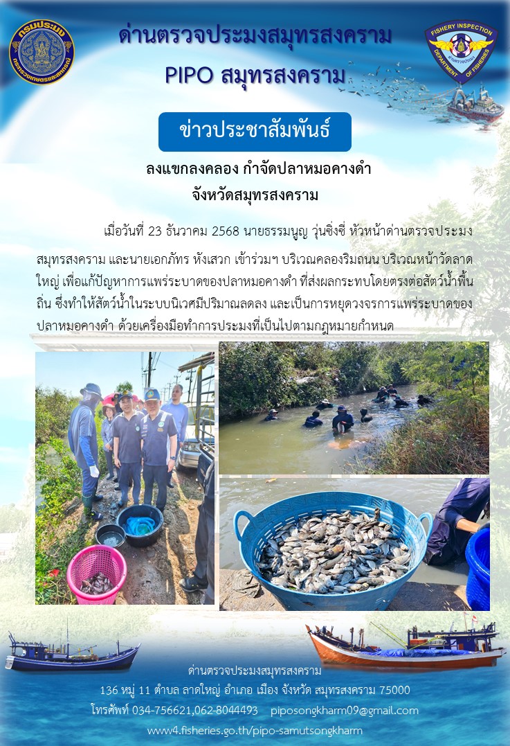 ลงแขกลงคลอง กำจัดปลาหมอคางดำ  จังหวัดสมุทรสงคราม 