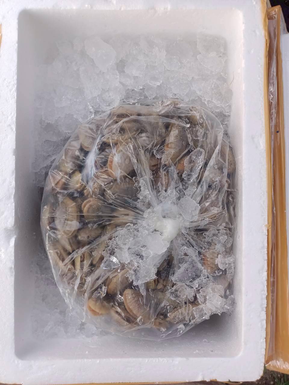 เจ้าหน้าที่ศูนย์บริหารจัดการด่านตรวจประมงเขต 1 (เชียงราย) ตรวจสอบสินค้าประมงส่งออกไปยังสาธารณรัฐประชาธิปไตยประชาชนลาว และสาธารณรัฐแห่งสหภาพเมียนมา..คลิก