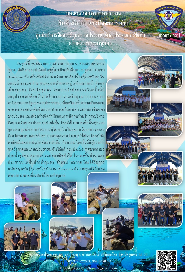 กิจกรรมปล่อยพันธุ์กุ้งแชบ๊วยคืนถิ่นทะเลชุมพร