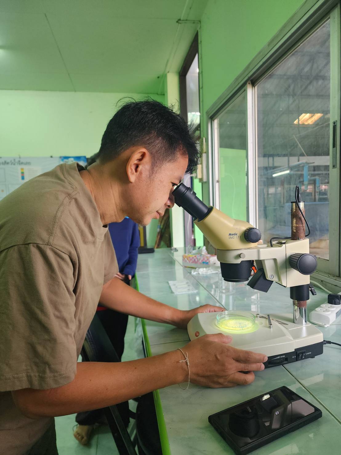 เพาะพันธุ์ปลายี่สกไทย ประจำปีงบประมาณ 2569..คลิก