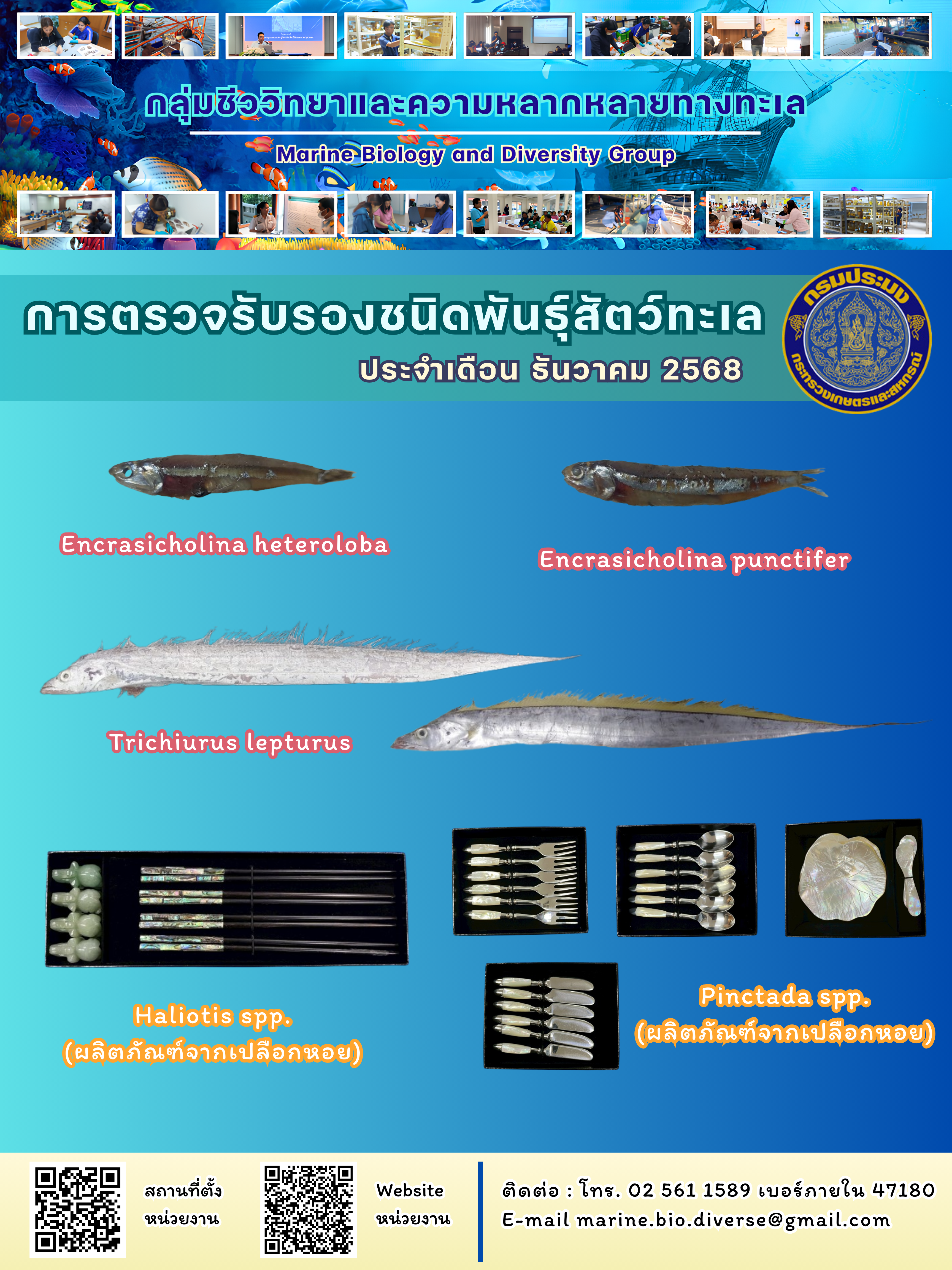 สรุปข้อมูลตรวจรับรองชนิดพันธุ์สัตว์ทะเล ประจำปี 2568 เดือนธันวาคม