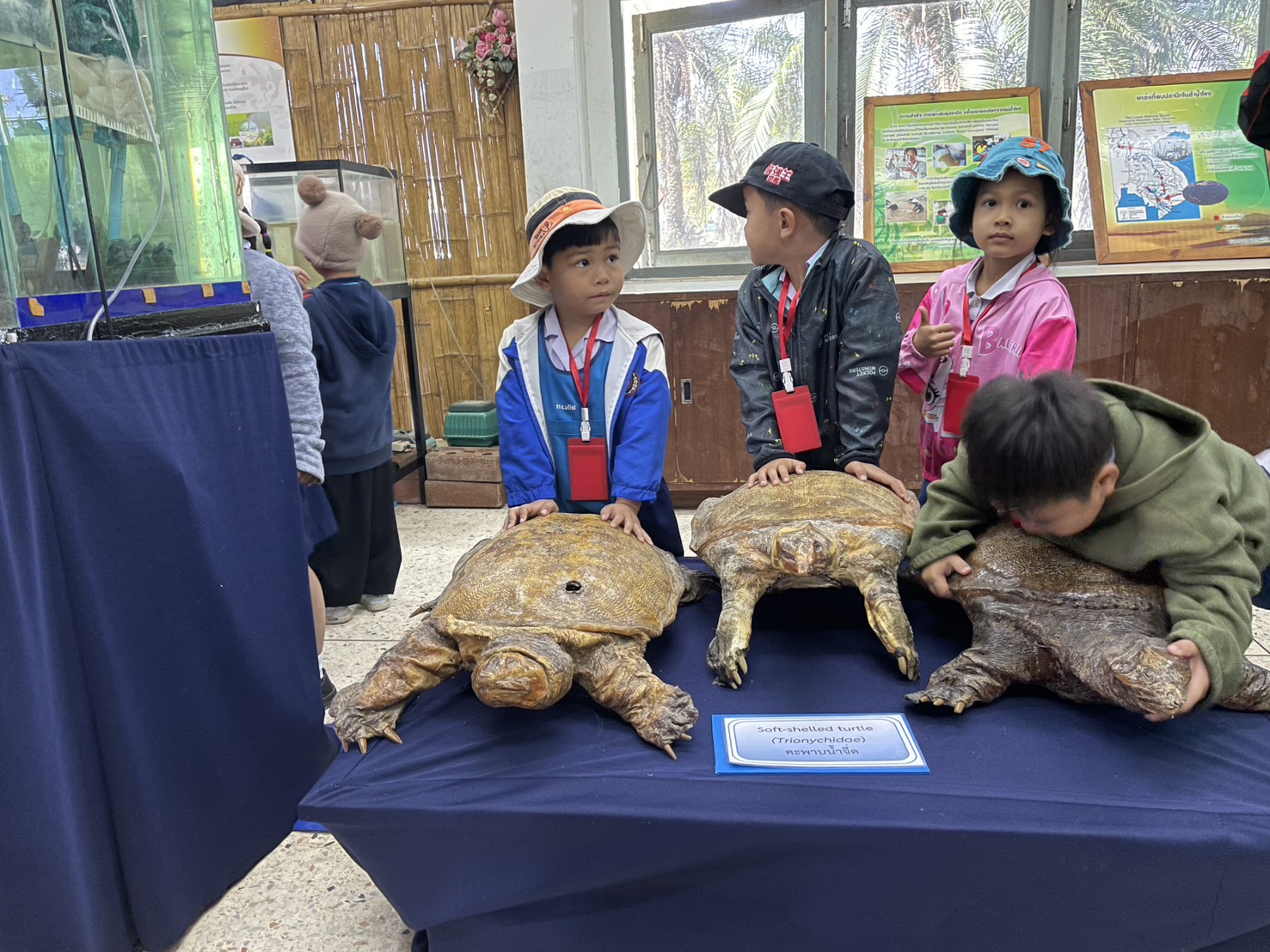 ข่าวประชาสัมพันธ์ ฉบับที่ 8 ประจำเดือนธันวาคม 2568..คลิก