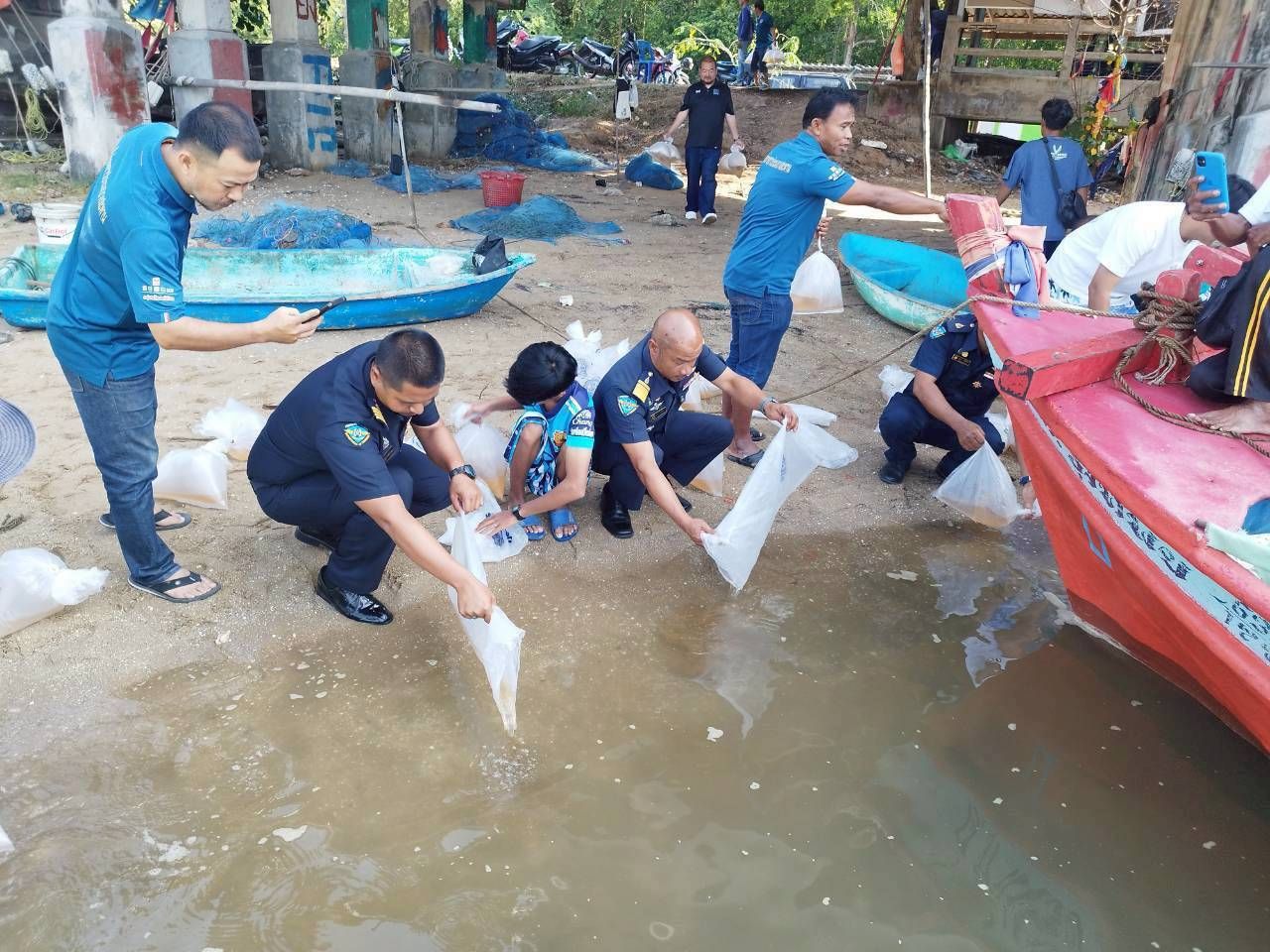 “ปล่อยพันธุ์สัตว์น้ำ (กุ้งเเชบ๊วย) จำนวน 300,000 ตัว ประมงพื้นบ้านบางสะพาน..คลิก